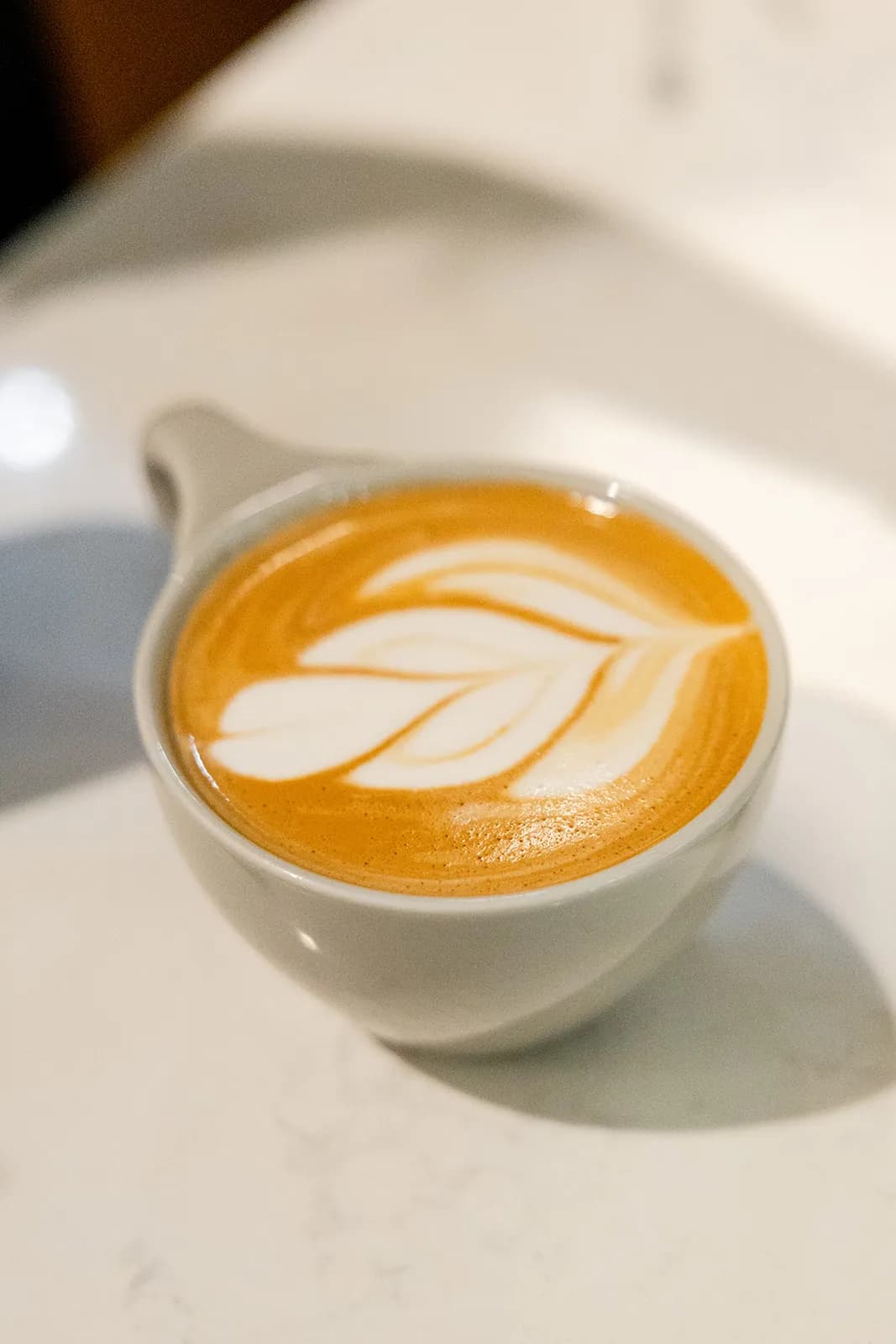 Leaf-shaped latte art in a freshly poured cappuccino